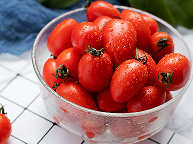 开云网页版登录入口基地展示六